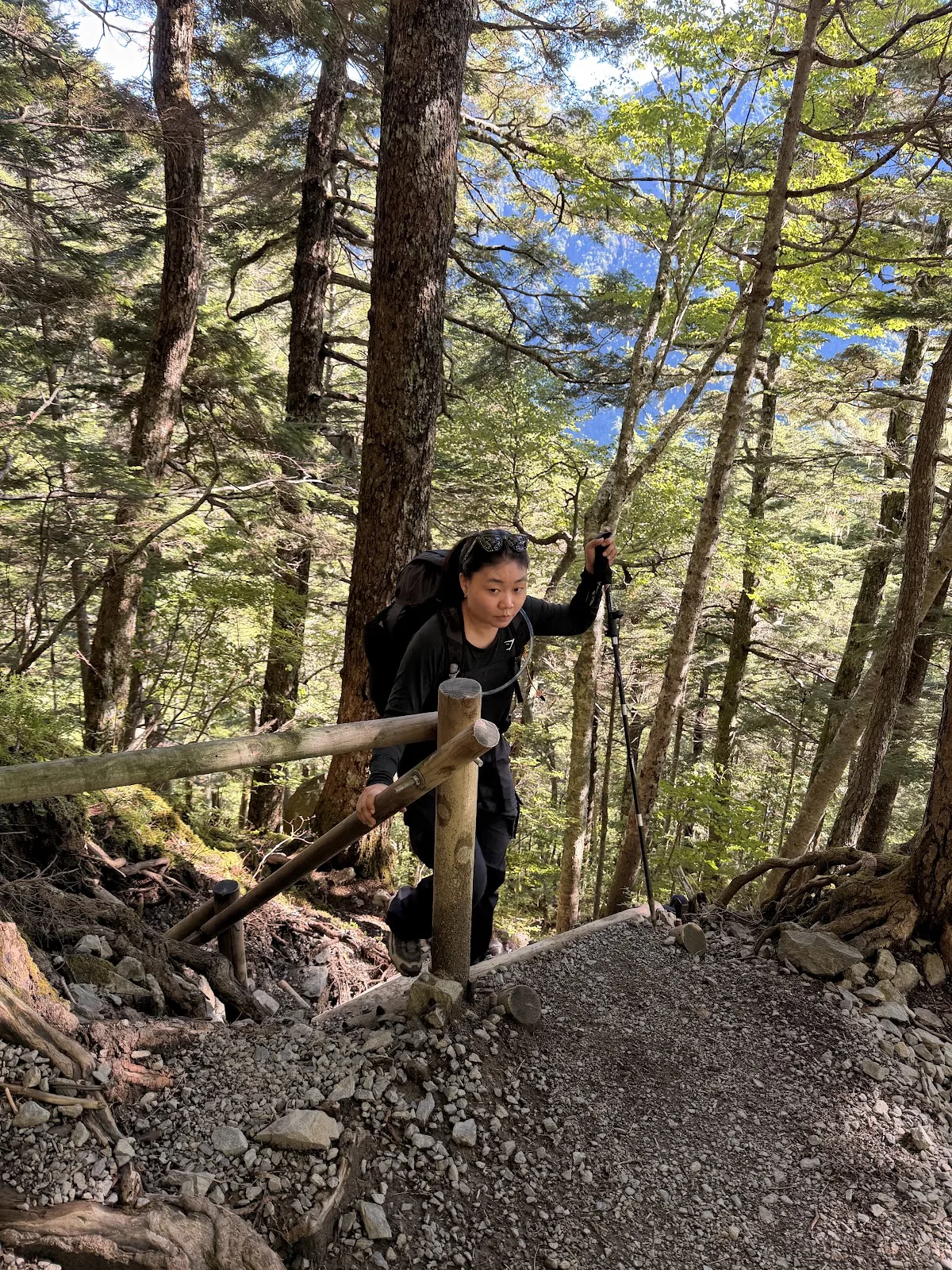 Hiker climbing through roots in the forest
