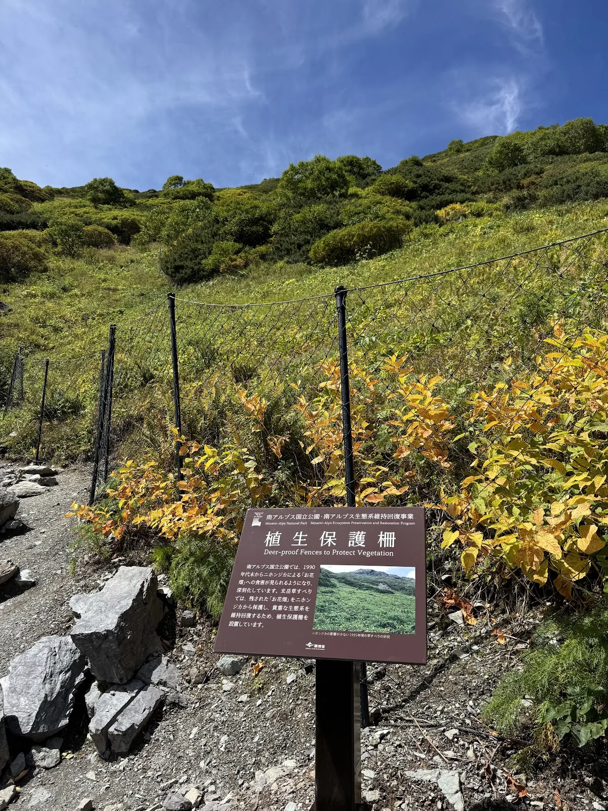 Trail sign in a high mountain meadow