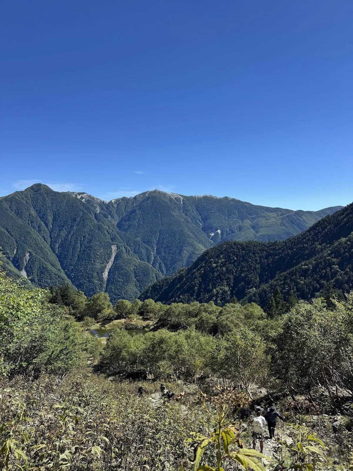 Steep green ridges of the Southern Alps